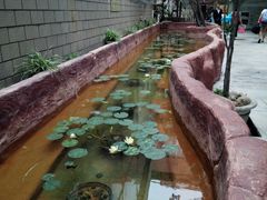 -金穗园温泉酒店