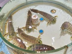 生猛海鲜-强记海鲜·大排档(蛇口新街店)