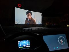 -枫花园汽车电影院(朝阳公园店)