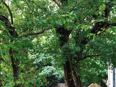 -龙环葡韵住宅式博物馆