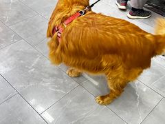-虹泰宠物医院 ·旗舰店·24h(南秀路店)