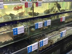 水产区-勝記酒家·37年老字号·经典粤菜(荔枝公园店)