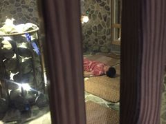 -御池园(顾村公园店)