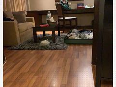 -曼谷湄南河畔华美达广场酒店