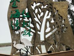 -北海金海湾红树林生态旅游区