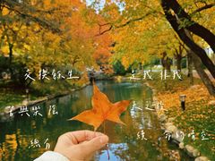 -钓鱼台国宾馆
