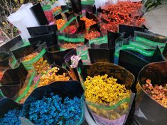 -循礼门鲜花花市(武汉循礼门店)