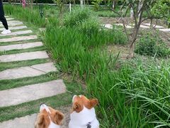 -洪湖家庭农场·团建·露营·会议
