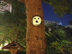 -张家港金凤凰度假村温泉