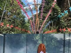 -修水东浒寨风景区