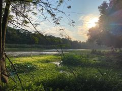 -南宁良凤江国家森林公园