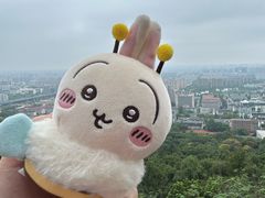 -杭州半山国家森林公园