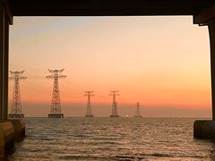 -宝安西湾红树林湿地公园