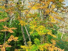 -白草畔自然风景区