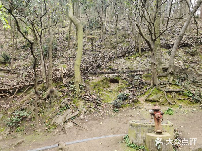 黔灵山公园图片