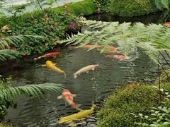 -罗红摄影艺术馆