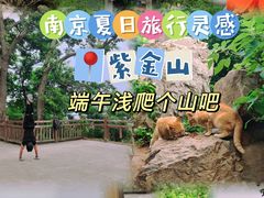 -紫金山山顶公园