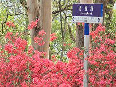 -东莞观音山旅游风景区