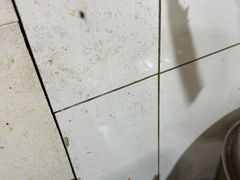 -微微麻辣海鲜(北宁湾店)