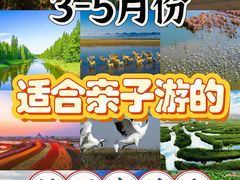 -盐城丹顶鹤湿地生态旅游区