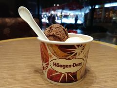 -哈根达斯(上海静安蛋糕店)