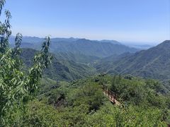 -大岭沟猕猴桃谷风景区