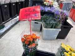 -溪岸路花鸟市场