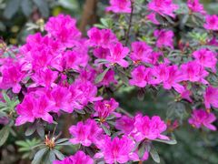 -广州市白云山风景名胜区