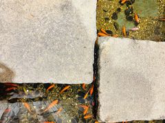 -邈墨茶馆(凤起路店)