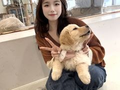 -共舞时光猫咖·狗咖(新街口店)