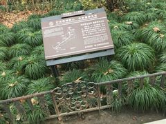 -杭州黄龙洞