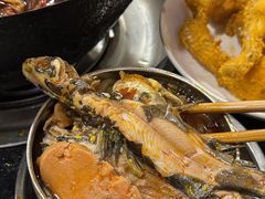 -鸿顺老铁锅美蛙鱼府(解放碑店)