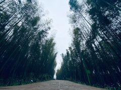 -蜀南竹海景区