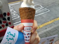 -富豪雪糕车流动点(尖沙咀店)