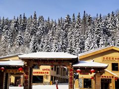 -亚布力新体委滑雪场