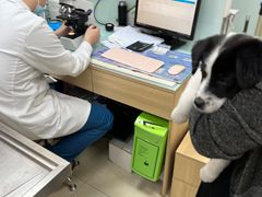 -宠福鑫康馨动物医院·骨科·眼科