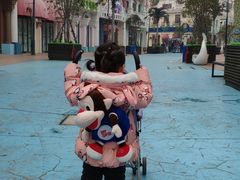 -芜湖新华联大白鲸海洋公园