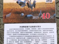 -盐城丹顶鹤湿地生态旅游区