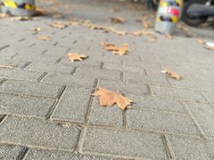 -张二面馆(山门口店)