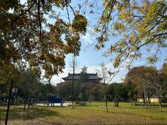 -永安龟山公园