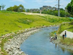 -两河城市森林公园