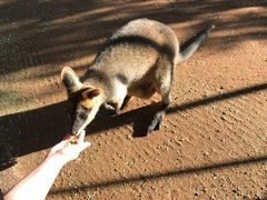 -费瑟代尔野生动物园