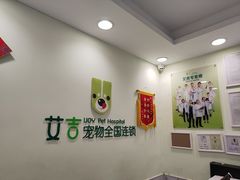 -艾吉宠物医院·疑难杂症转诊中心·猫友好(碧江路院)