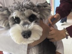 -瑞派福兴宠物医院犬猫全科·骨科·中西医结合(河东店)