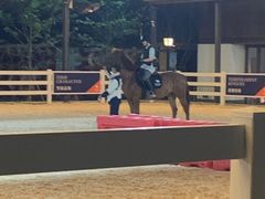 -不可思议减压馆·解压博物馆·摔碗发泄·团建定制
