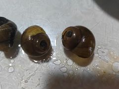 -呼吸森林·生态农庄农家乐私房菜