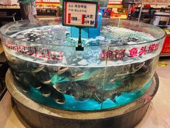 -魏铭鱼头捞饭(晋阳路店)