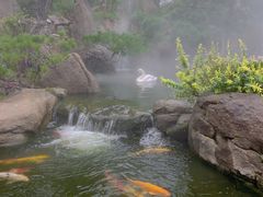 -罗红摄影艺术馆