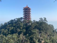 -缙云山景区