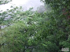 -藏龙百瀑风景区